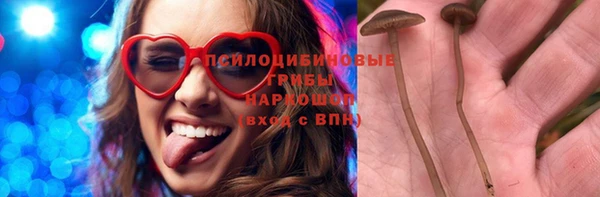 мяу мяу мука Алзамай