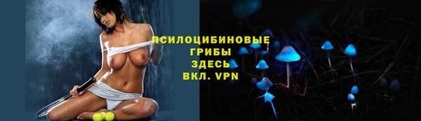 дурь Алексин