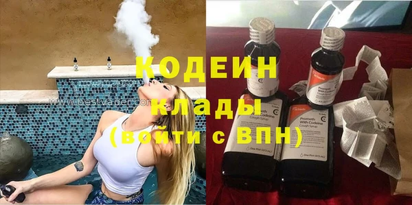 мяу мяу мука Алзамай
