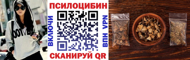 Псилоцибиновые грибы мухоморы  цена наркотик  Пыталово 